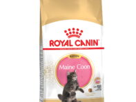 Корм для котят Royal Canin Maine Coon Kitten