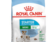 Корм для собак Royal Canin Mini Starter Mother & Babydog для щенков до 2х месяцев беременных и кормящих сук 1 кг