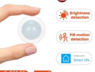 Датчик движения тела PIR Датчик движения ZigBee Инфракрасный детектор Smart Life Works Датчик человеческого тела Smart