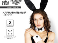 Карнавальный набор