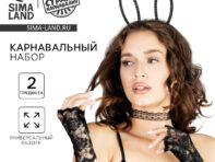 Карнавальный набор