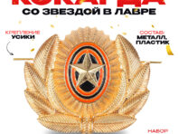 Кокарда со звездой в лавре