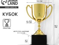 Кубок 013в