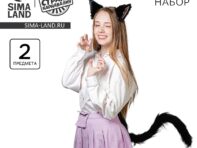 Карнавальный набор