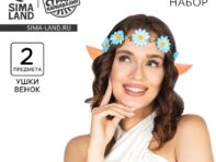 Карнавальный набор
