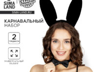 Карнавальный набор