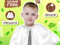 Карнавальный набор
