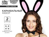 Карнавальный набор