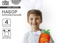 Карнавальный набор